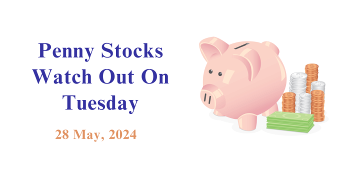 Penny Stocks to watch on Mon - 28 May 2024