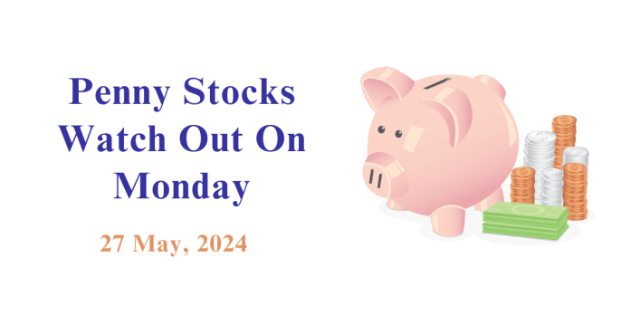 Penny Stocks to watch on Mon - 27 May 2024